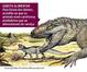CI�NCIA - F�ssil de bicho parecido com crocodilo � descoberto em SP